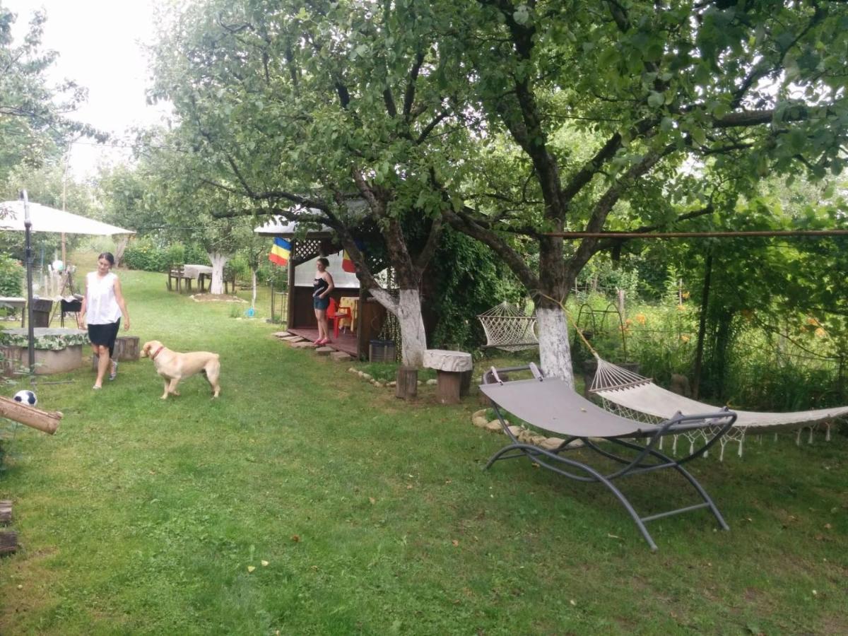 Cazare Adela Horezu Exteriör bild